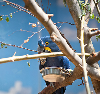 安全稳定可靠的ddos工具下载