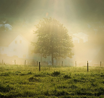 ddos在线攻击平台