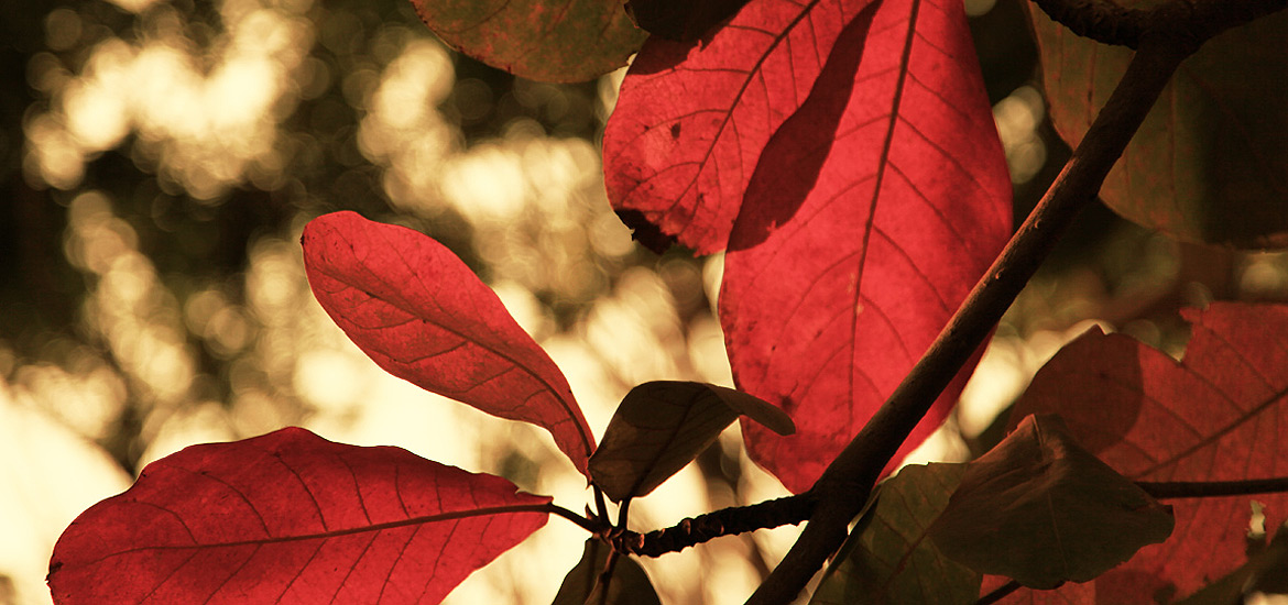 ddos流量攻击购买