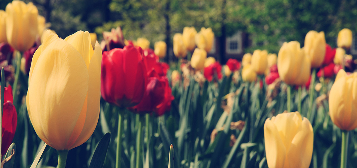 在线DDOS攻击平台