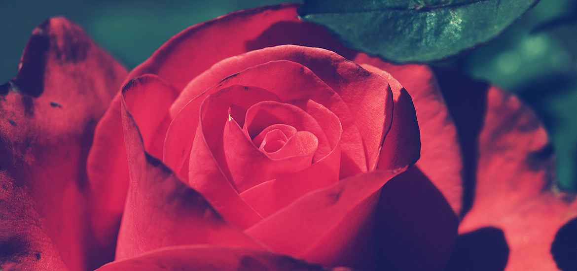 支付宝担保的免费ddos平台攻击