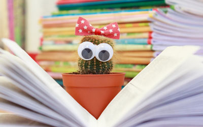 ddos压力测试网页端